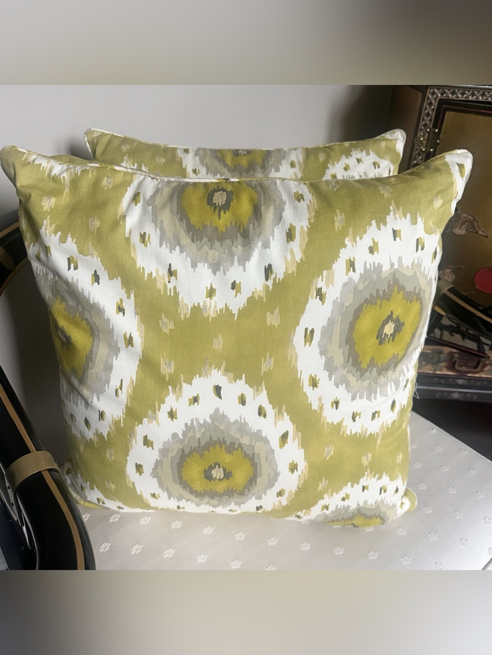 World Market 20”x20” (2) Accent Pillows